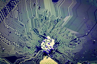 解碼張江創(chuàng)新密碼 從2018上?？萍歼M(jìn)步報(bào)告看軟件開發(fā)的奮進(jìn)足音